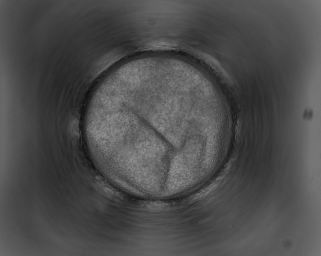 X0000100891209200807220943