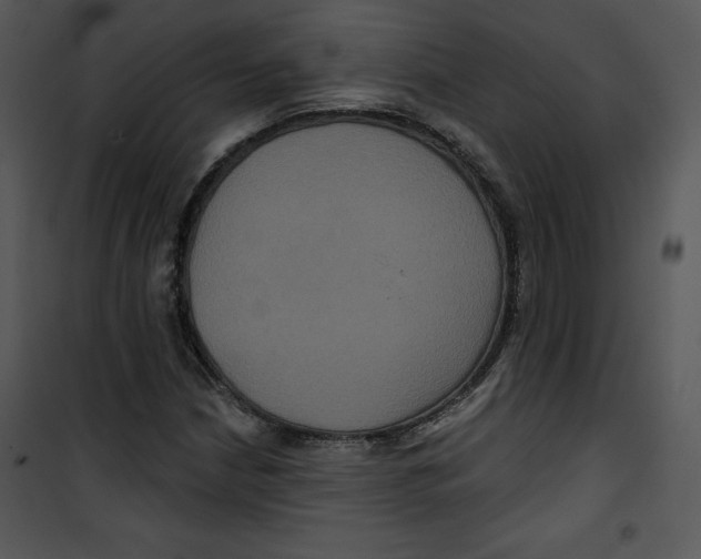 X0000100891210200807220943