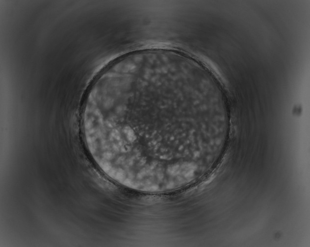 X0000100891212200807220943