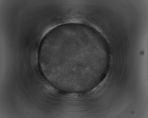 X0000100891214200807220943