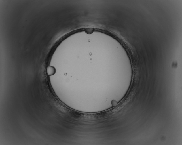 X0000100891215200807220943