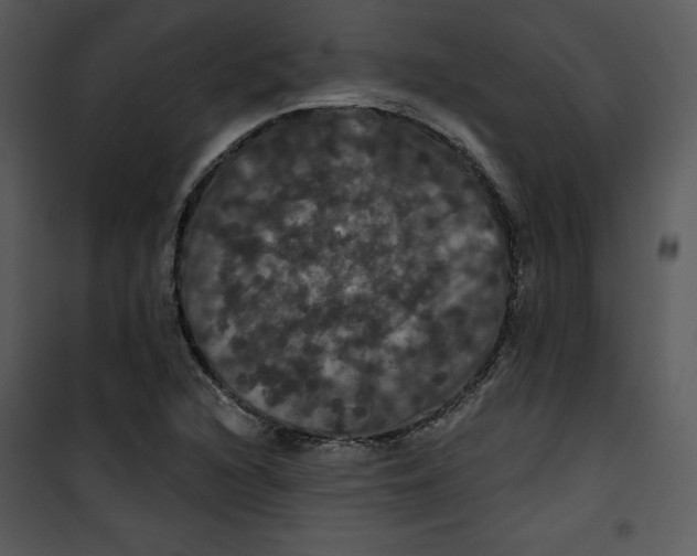 X0000100891216200807220943