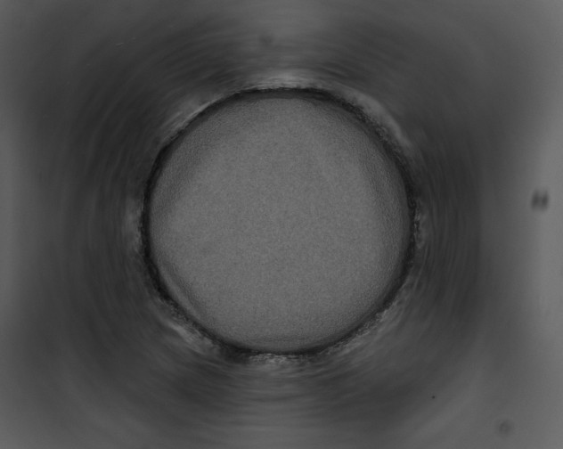 X0000100891217200807220943