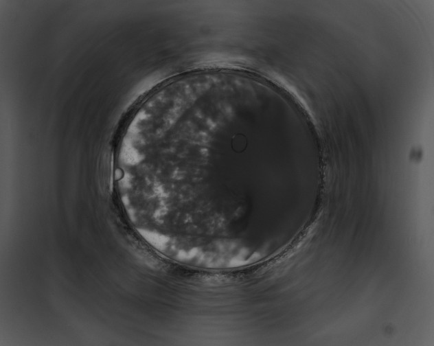 X0000100891219200807220943