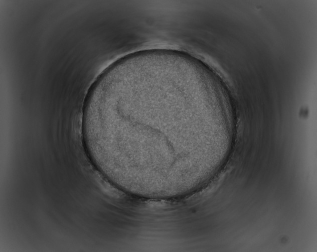 X0000100891220200807220943