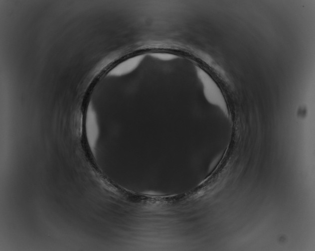 X0000100891221200807220943