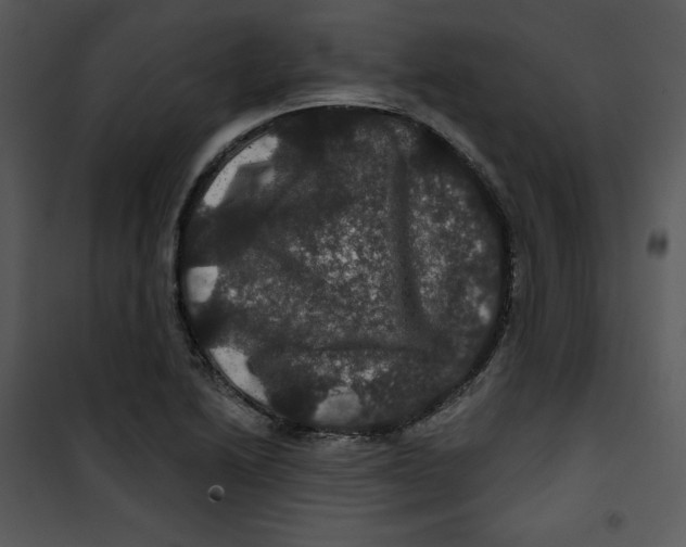 X0000100891222200807220944