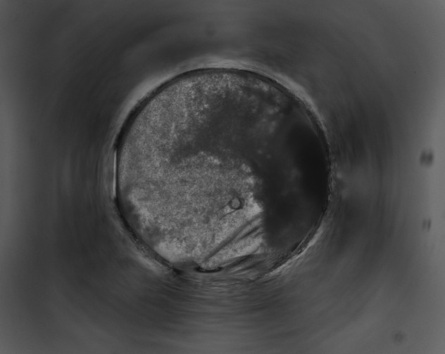 X0000100891223200807220944