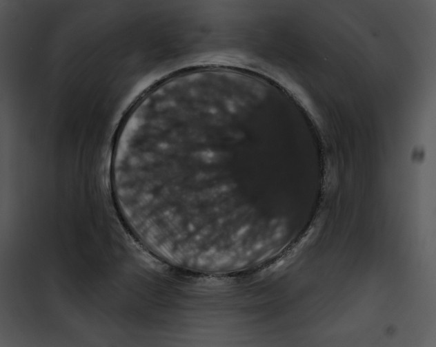 X0000100891224200807220944