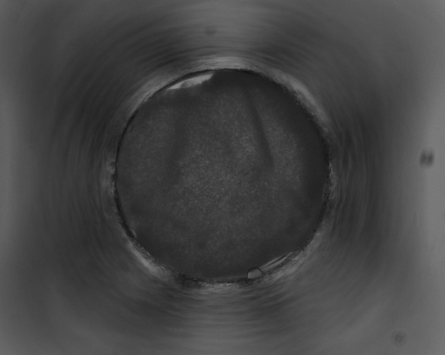 X0000100891225200807220944