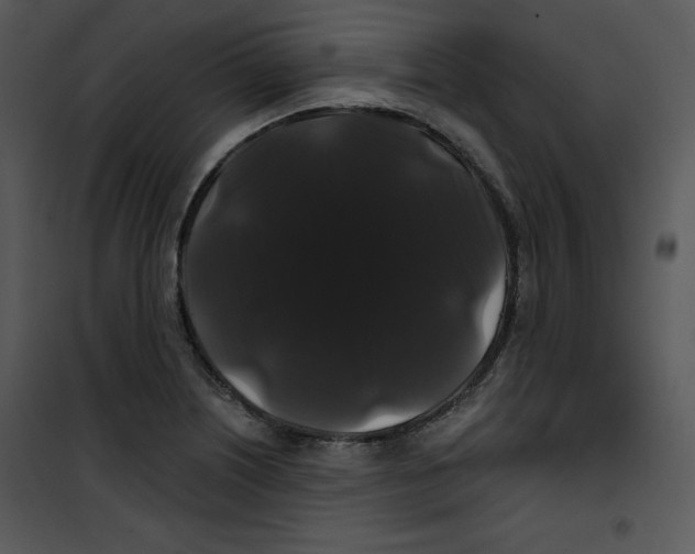 X0000100891226200807220944