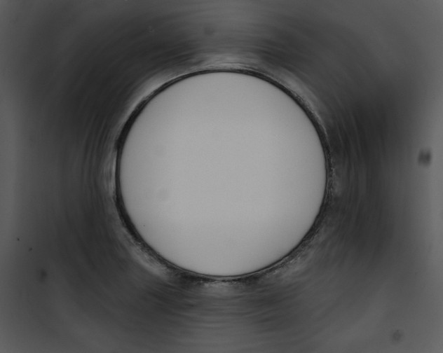 X0000100891227200807220944