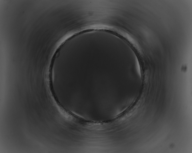 X0000100891229200807220944