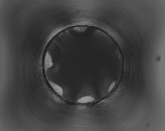 X0000100891230200807220944