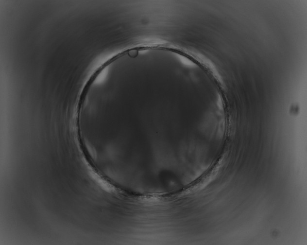 X0000100891231200807220944