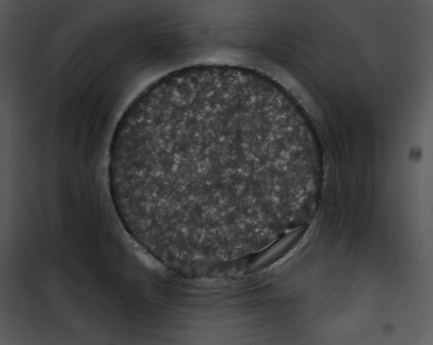 X0000100891232200807220944