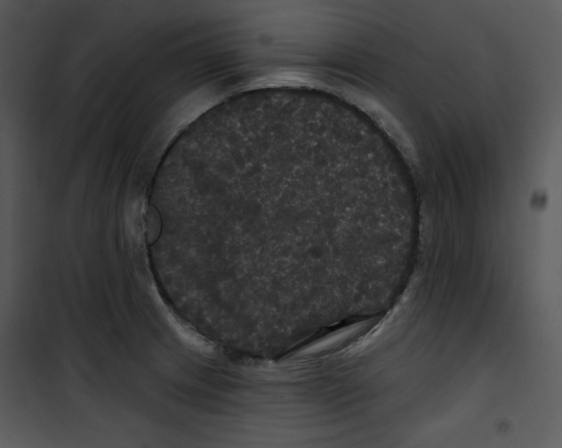 X0000100891233200807220944