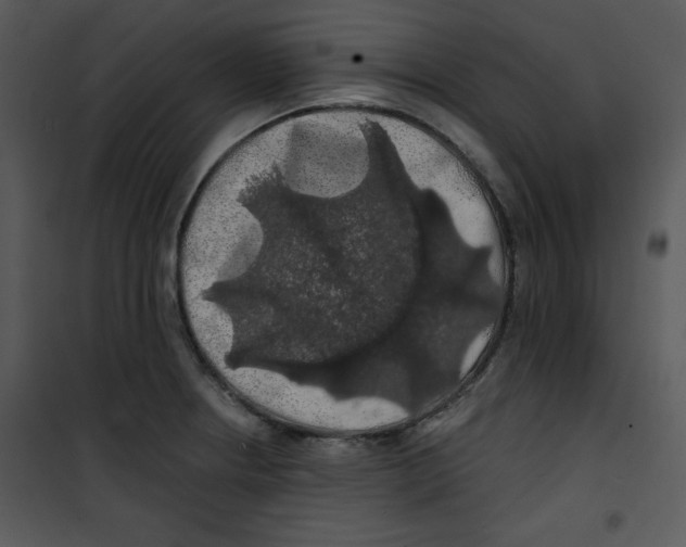 X0000100891234200807220944