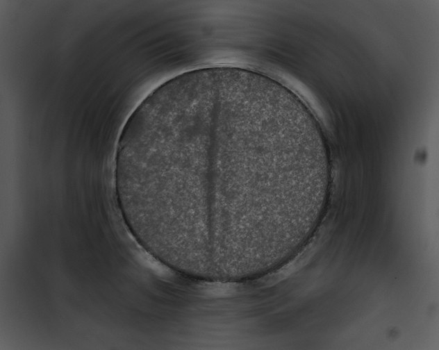 X0000100891236200807220944