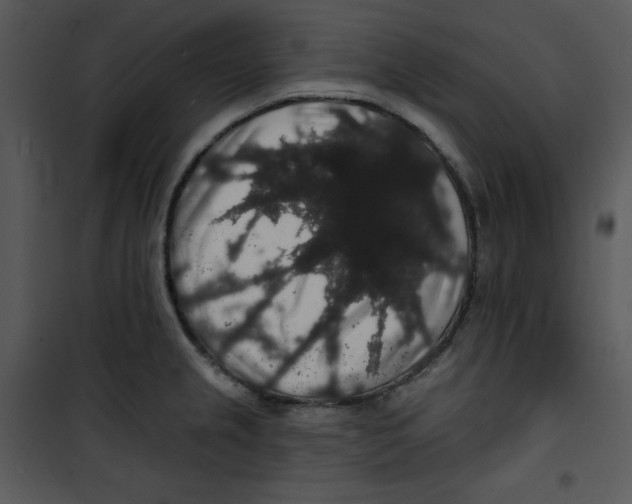 X0000100891237200807220944