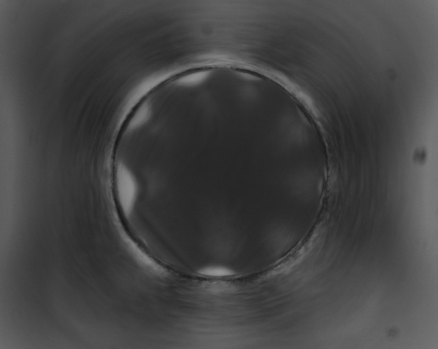 X0000100891239200807220944