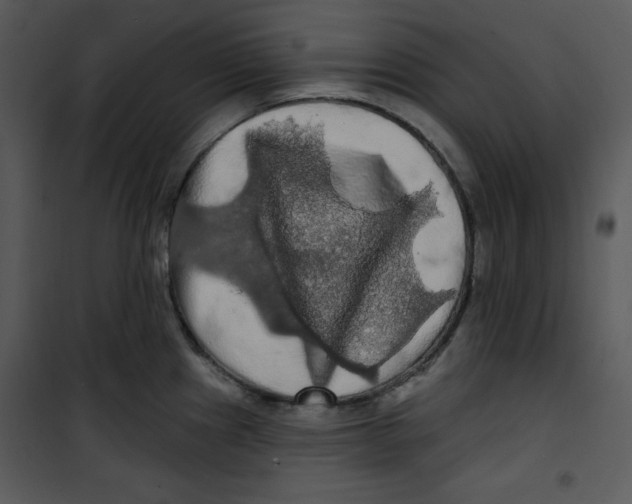 X0000100891241200807220944