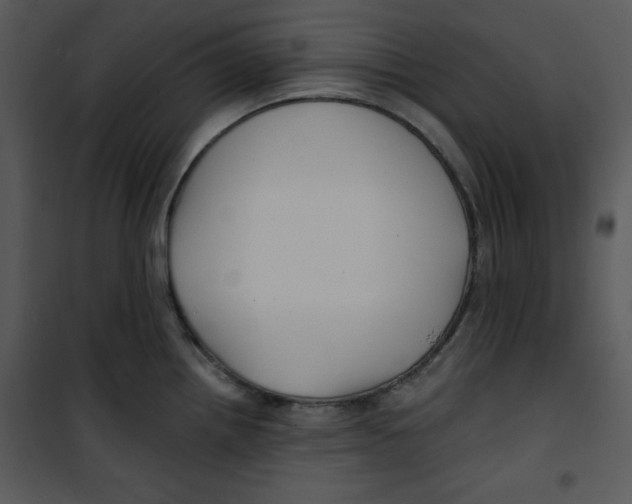 X0000100891242200807220944