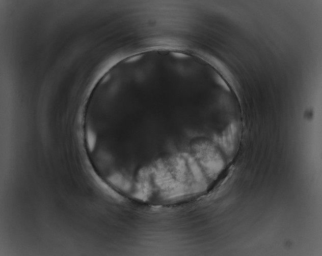 X0000100891243200807220944