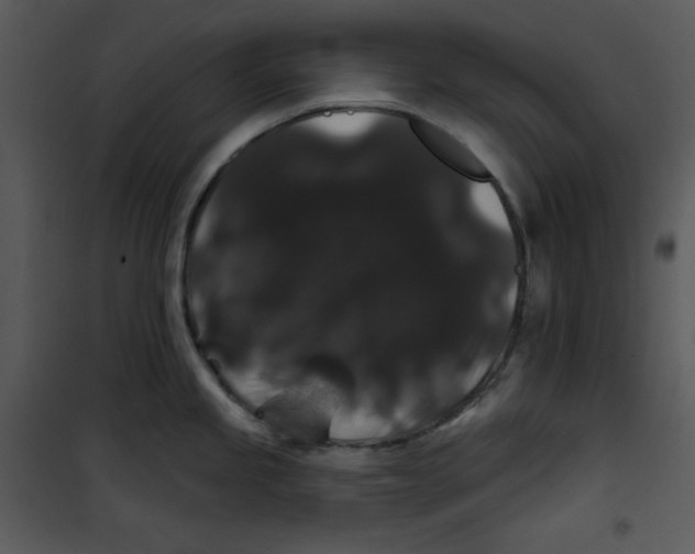 X0000100891245200807220944