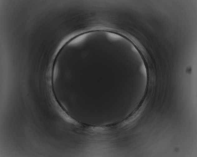 X0000100891246200807220944