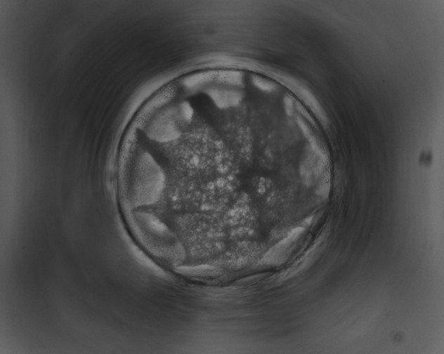 X0000100891247200807220944