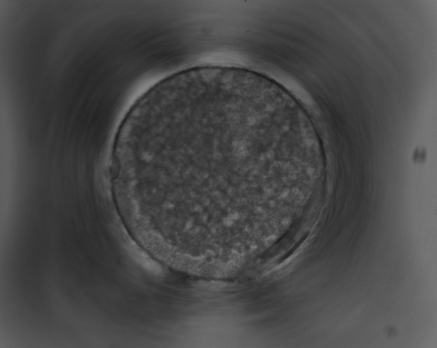 X0000100891248200807220944