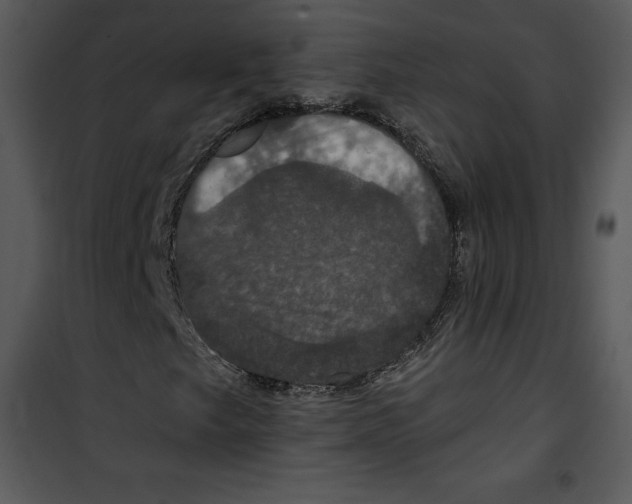 X0000100891249200807220943