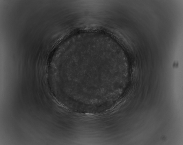 X0000100891250200807220943