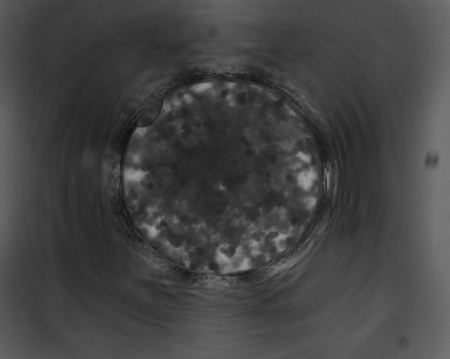 X0000100891251200807220943