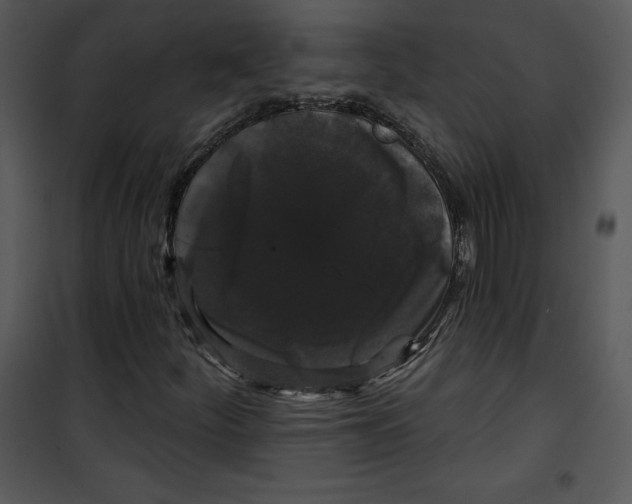 X0000100891252200807220943