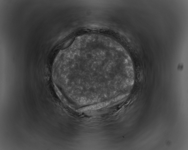 X0000100891253200807220943