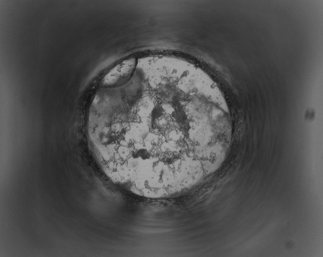 X0000100891255200807220943