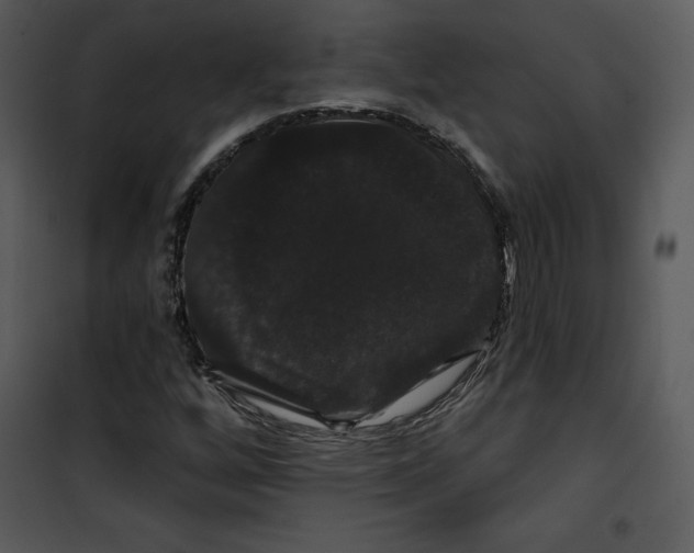 X0000100891256200807220943