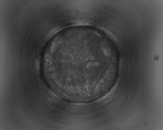 X0000100891257200807220943