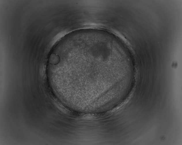 X0000100891259200807220943