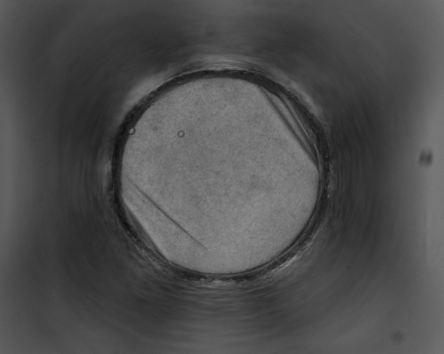 X0000100891261200807220943