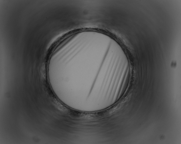 X0000100891262200807220943