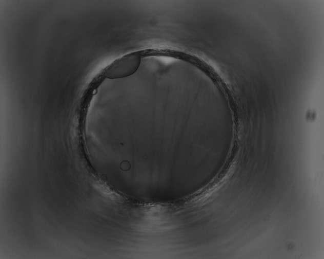 X0000100891263200807220943