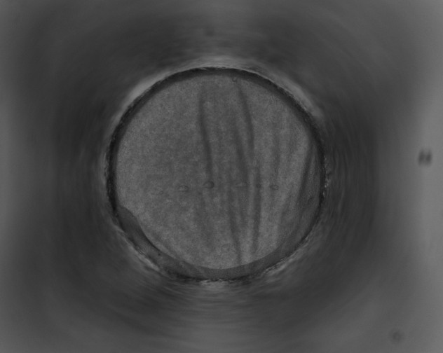 X0000100891264200807220943