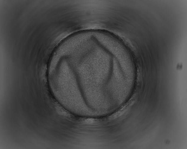 X0000100891265200807220943