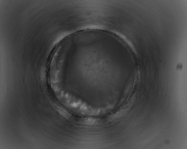 X0000100891266200807220943