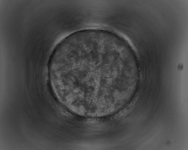 X0000100891267200807220943