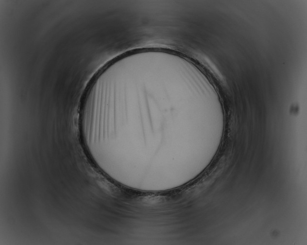 X0000100891268200807220943