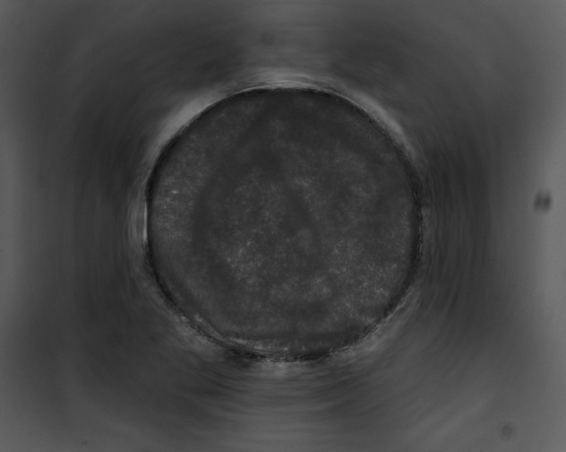 X0000100891269200807220943